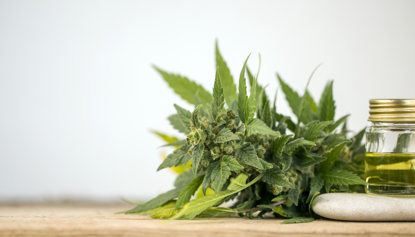 Les gummies, la nouvelle manière de consommer du CBD !